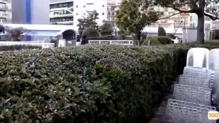 欧美 在线 成 人怡红院-免费在线观看-日韩中文字幕